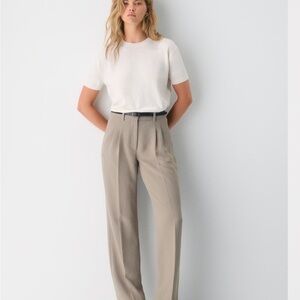 Aritzia Straight-Leg Trousers in Taupe with White Top